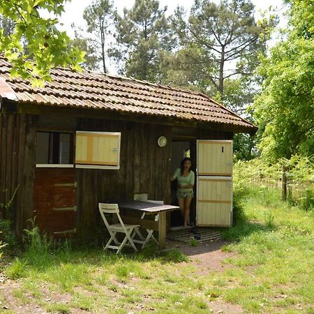Cabane En Foret Onesse-et-Laharie Exterior foto
