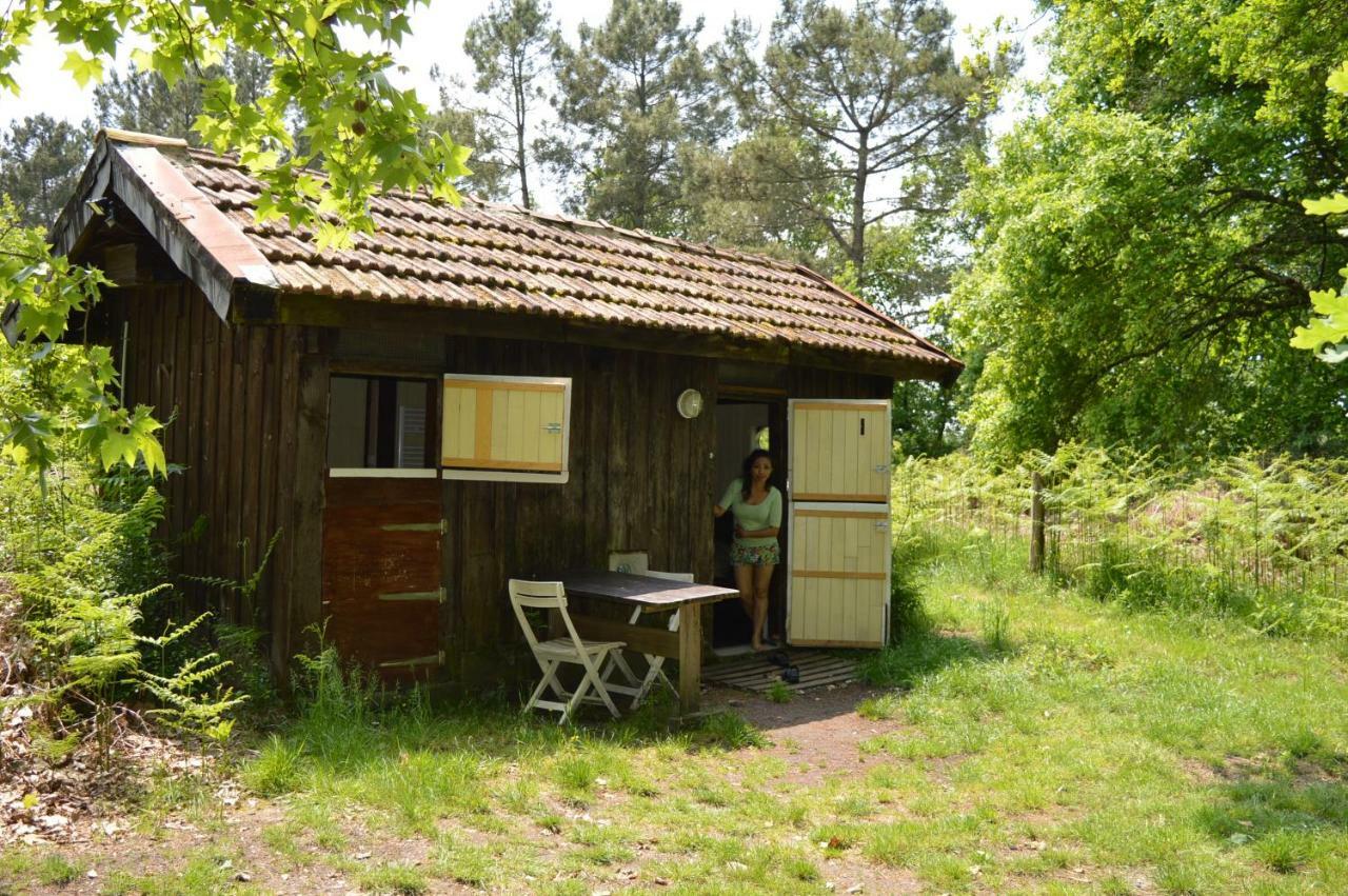 Cabane En Foret Onesse-et-Laharie Exterior foto