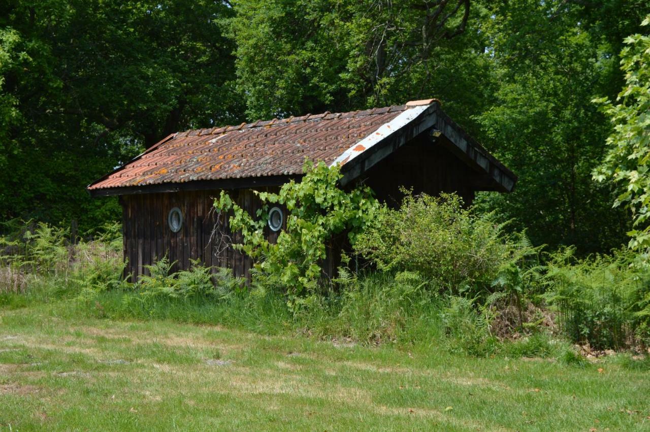 Cabane En Foret Onesse-et-Laharie Exterior foto